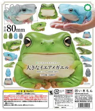 NTC 大きなイエアメガエルの画像