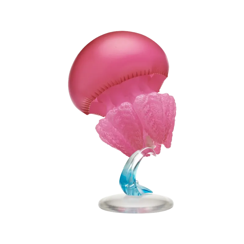 NTC クラゲLEDライトコレクション２ ラインナップ 4