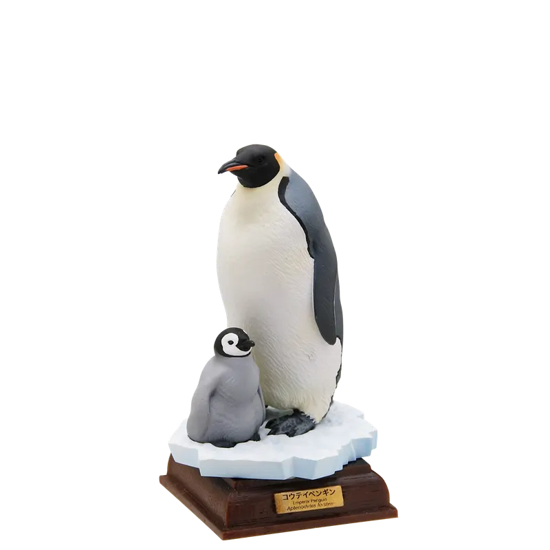 南極 特装版 The South Pole ラインナップ 2