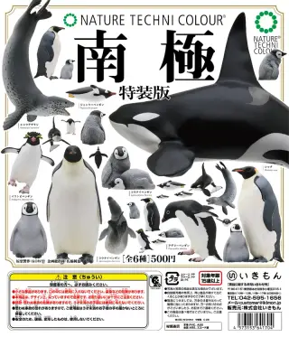 南極 特装版 The South Poleの画像
