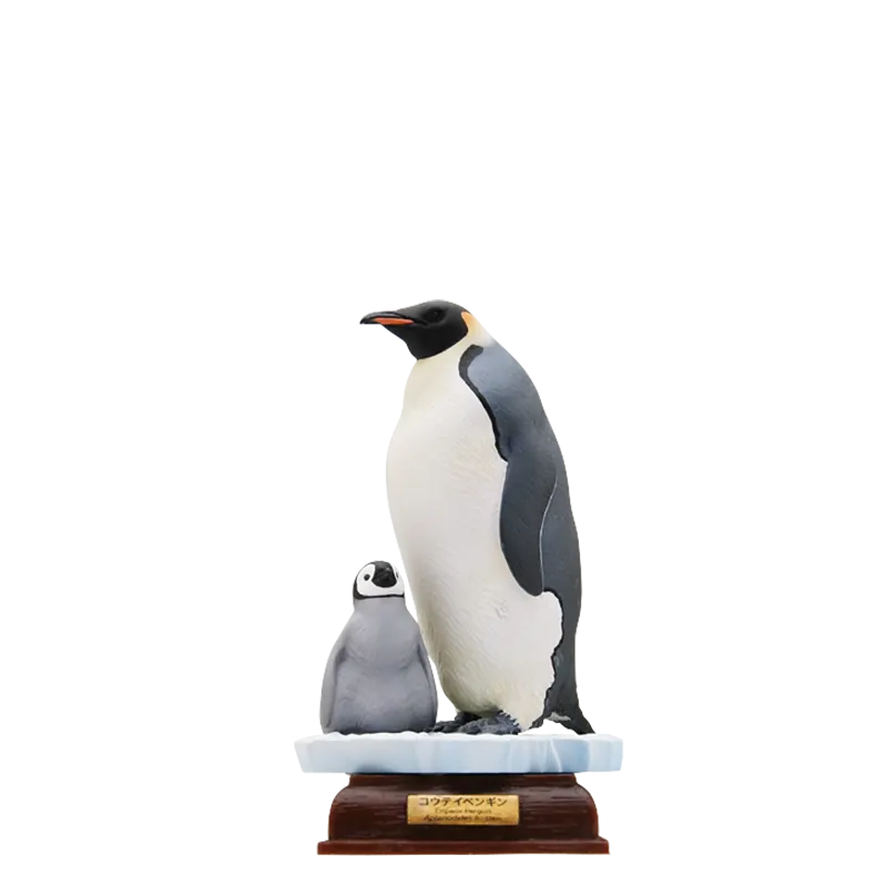 南極 The South Pole ラインナップ 2