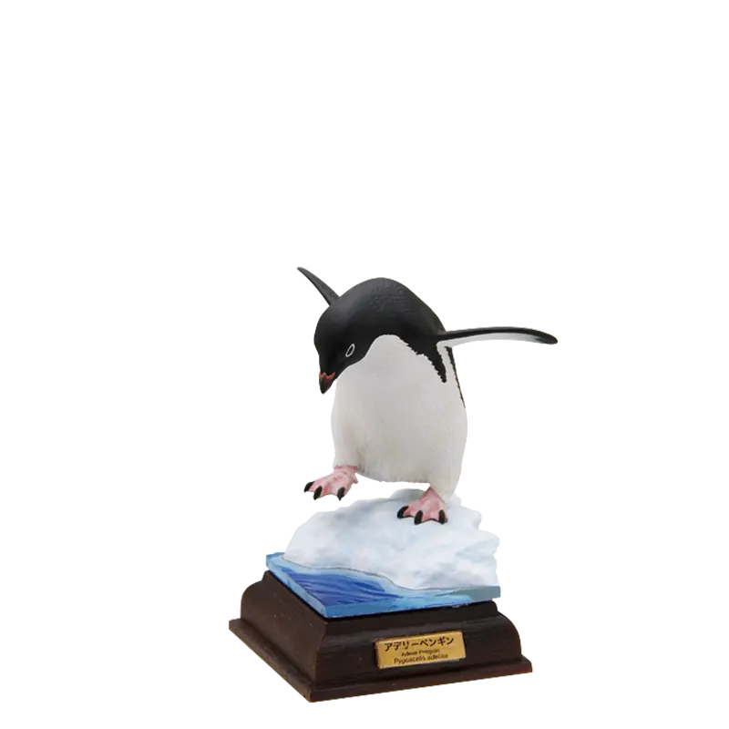 南極 The South Pole ラインナップ 4