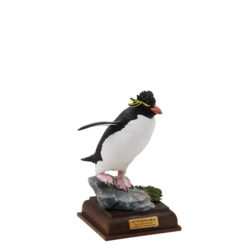 南極 The South Pole ラインナップ 5