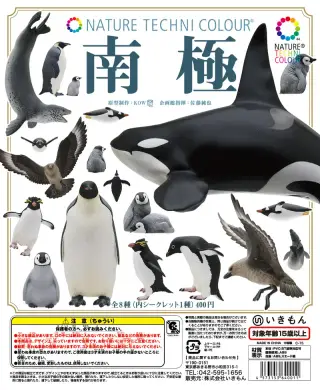 南極 The South Poleの画像