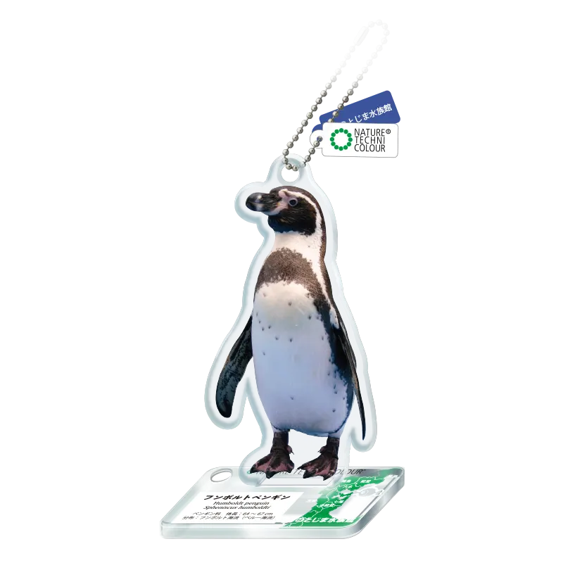 NTC のとじま水族館 アクリルマスコット ラインナップ 7