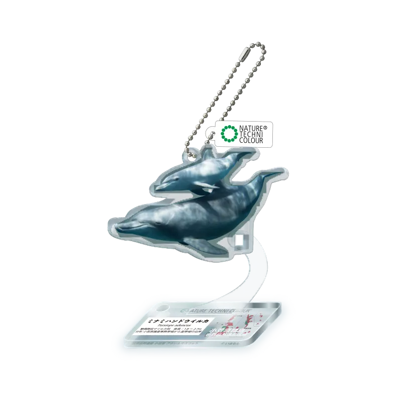 NTC 世界自然遺産 小笠原 アクリルマスコット ラインナップ 3