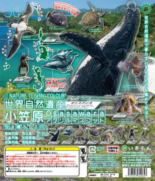 NTC 世界自然遺産 小笠原 アクリルマスコットの画像