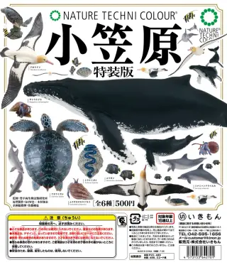 NTC 小笠原 特装版の画像