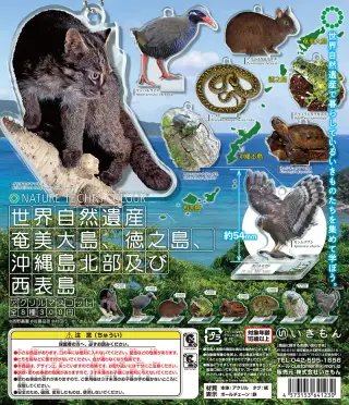 世界自然遺産 奄美大島、徳之島、沖縄島北部及び西表島アクリルマスコットの画像