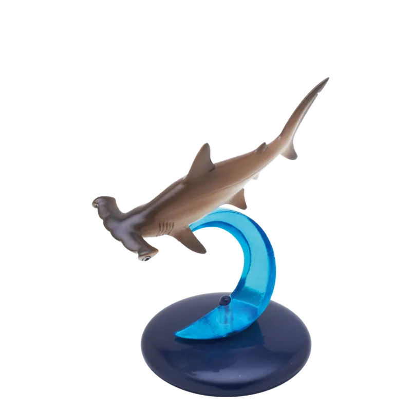 サメ ラインナップ 4