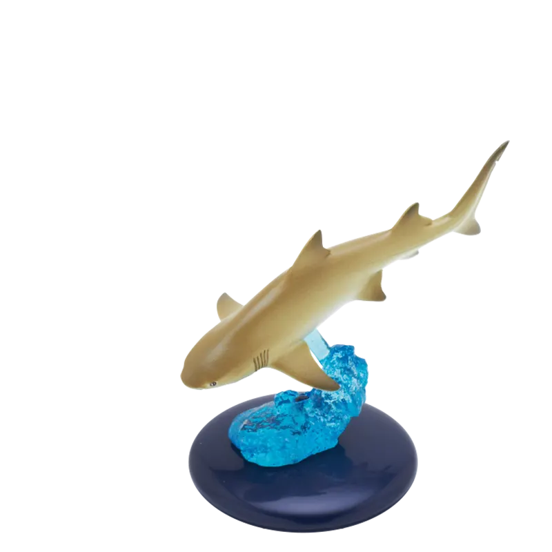 サメ ラインナップ 6