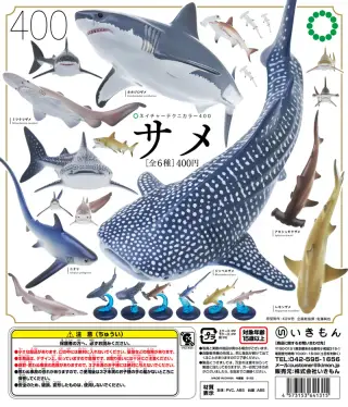 サメの画像
