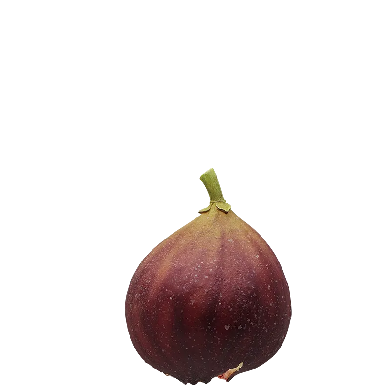 山菜 ボールチェーンマスコット ラインナップ 3