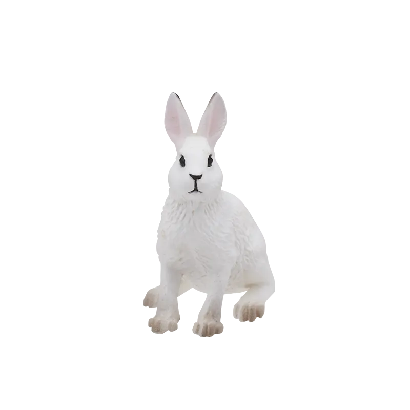 里山のいきもの ラインナップ 6