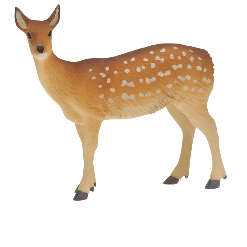 里山のいきもの ラインナップ 7