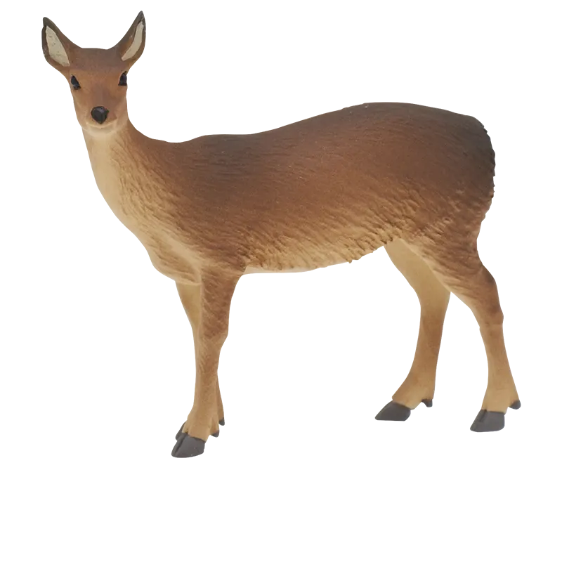 里山のいきもの ラインナップ 8