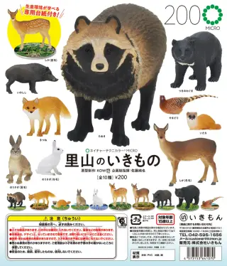 里山のいきものの画像