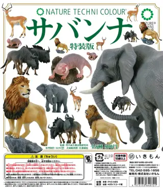 サバンナ特装版 SAVANNAの画像