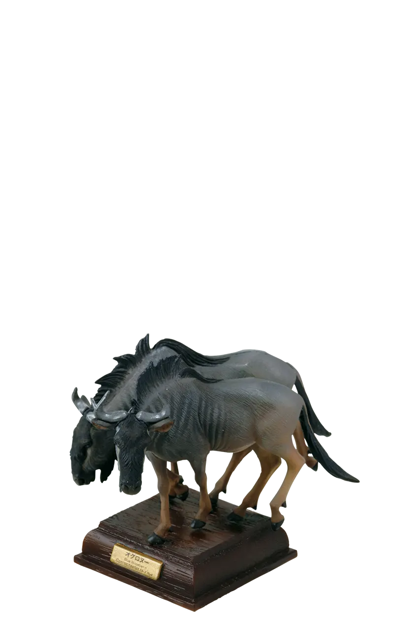 サバンナ SAVANNA ラインナップ 6
