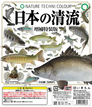 NTC 日本の清流 増補特装版の画像
