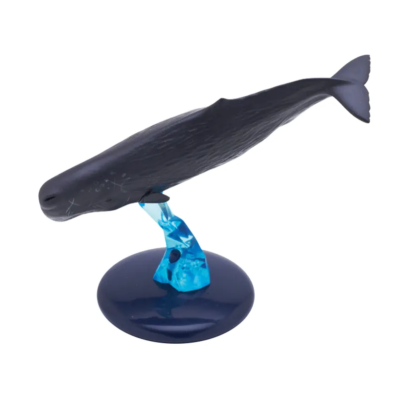 クジラとイルカ ラインナップ 3