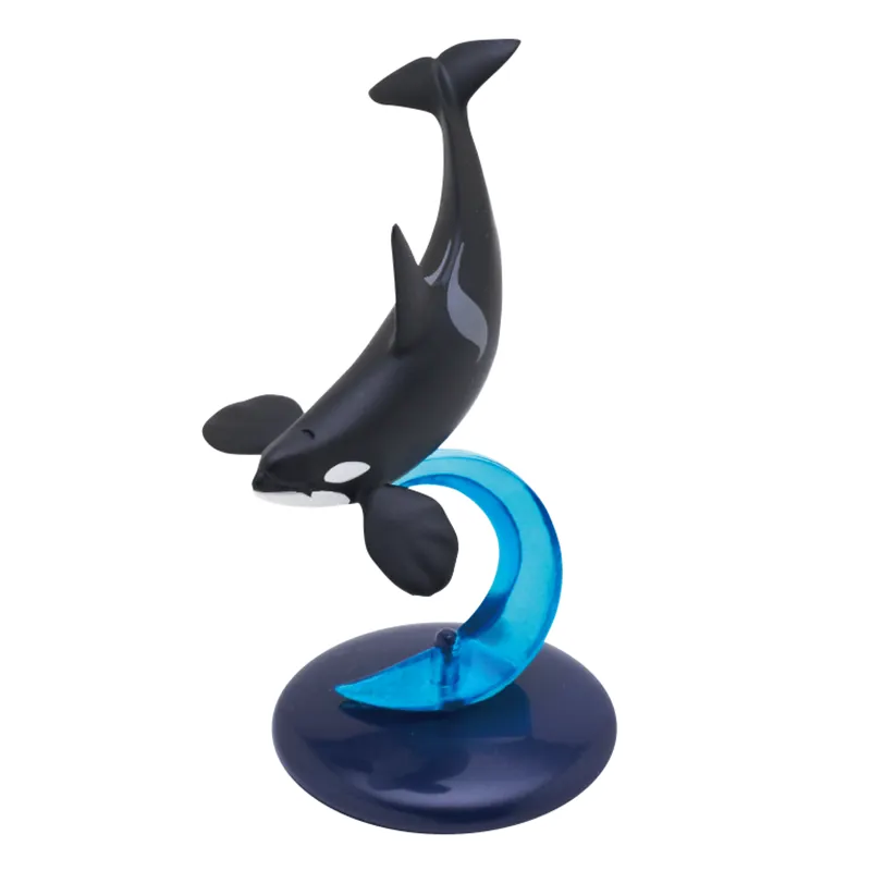 クジラとイルカ ラインナップ 4