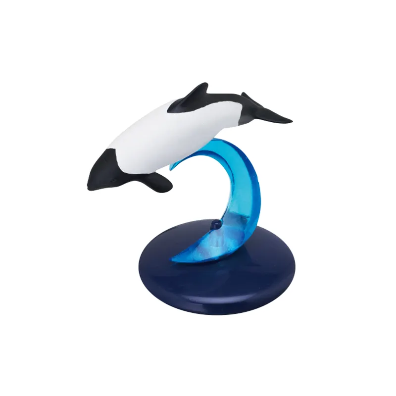 クジラとイルカ ラインナップ 6