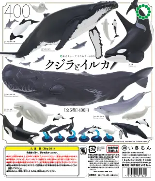 クジラとイルカの画像
