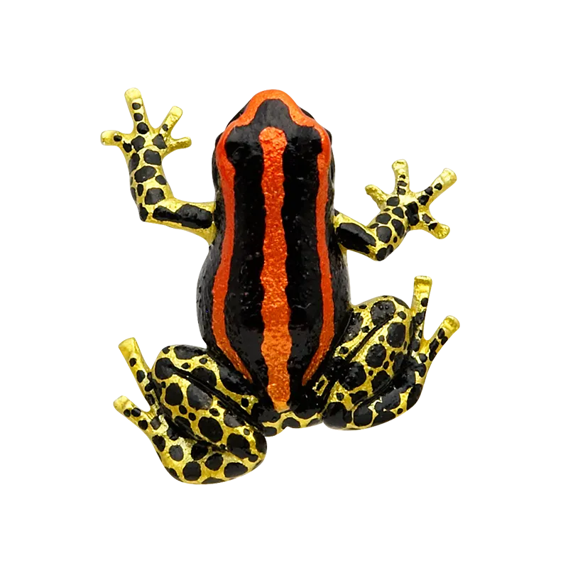 ヤドクガエル The BEST ラインナップ 8