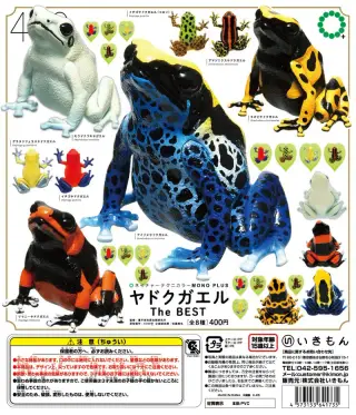 ヤドクガエル The BESTの画像