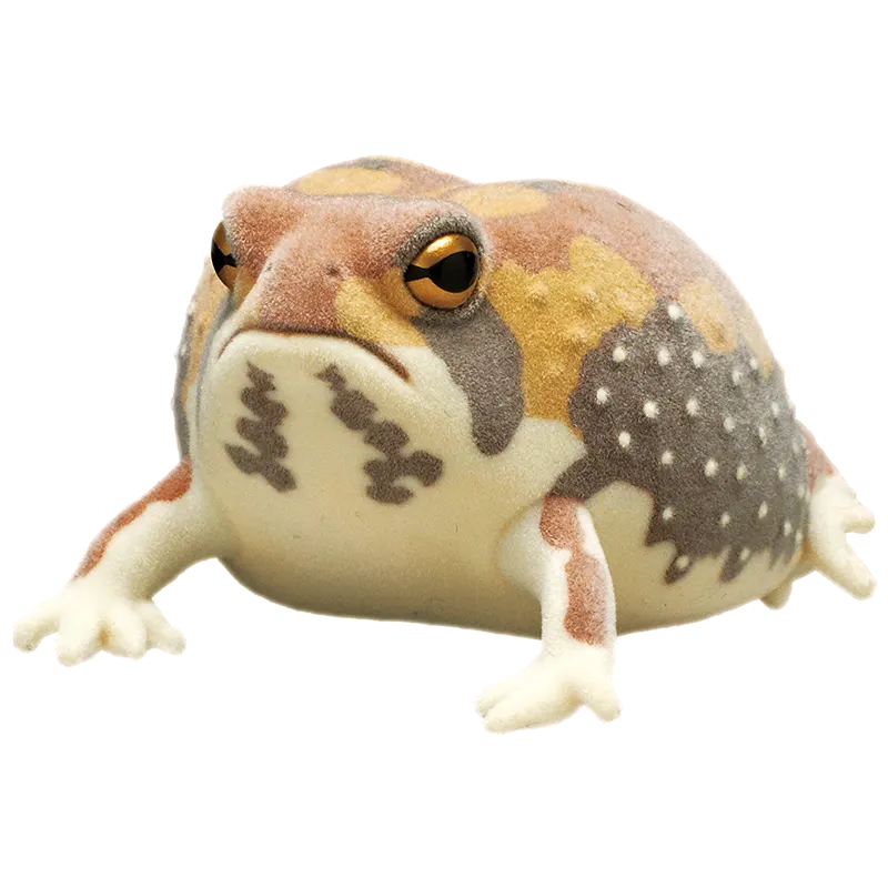 ネイチャーテクニカラーFLOCKY 土まみれのフクラガエル ラインナップ 3