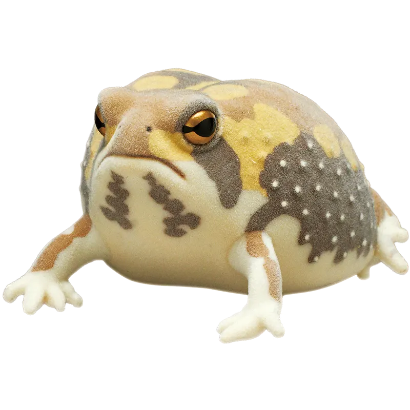 ネイチャーテクニカラーFLOCKY 土まみれのフクラガエル ラインナップ 4