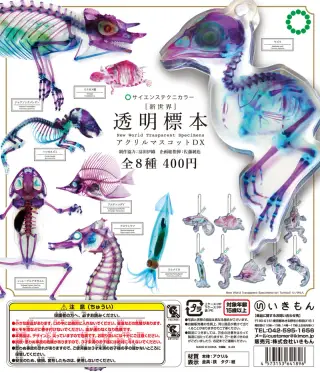 [新世界] 透明標本アクリルマスコットDX アクリルマスコットDXの画像