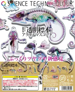 新世界『透明標本』 アクリルマスコットの画像