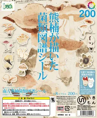 南方熊楠菌類図譜シールの画像