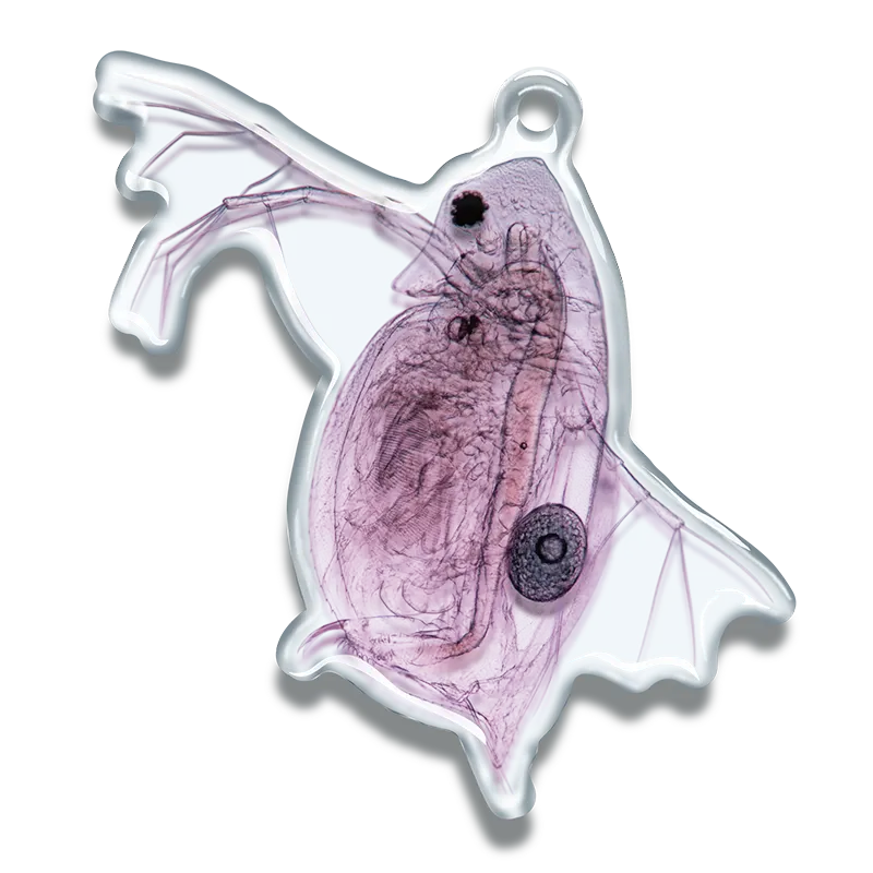 微生物アクリルマスコット アクリルマスコット ラインナップ 2