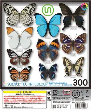 鱗翅学者の私的標本 アクリルマスコットの画像