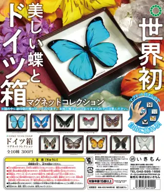 ドイツ箱マグネットコレクションの画像
