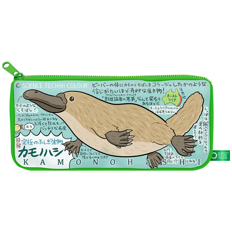 「図解」なんかへんな生きもの ハンカチ&ポーチ ラインナップ 2