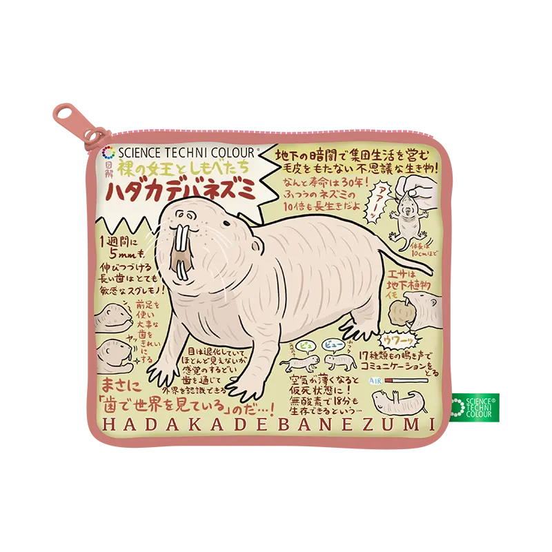「図解」なんかへんな生きもの ハンカチ&ポーチ ラインナップ 7