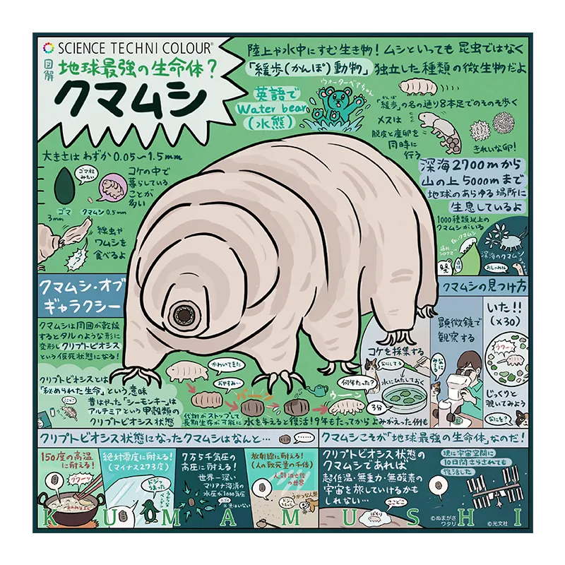 「図解」なんかへんな生きもの ハンカチ&ポーチ ラインナップ 8