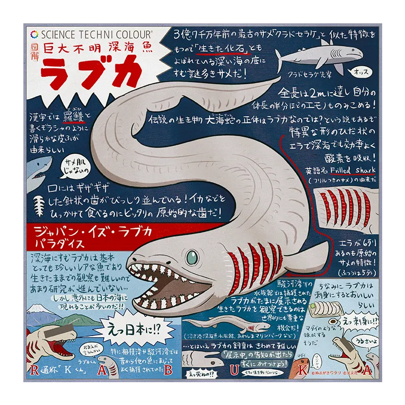 「図解」なんかへんな生きもの ハンカチ&ポーチ ラインナップ 9