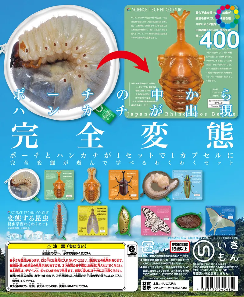 変態する昆虫 昆虫学習わくわくセット(画像)