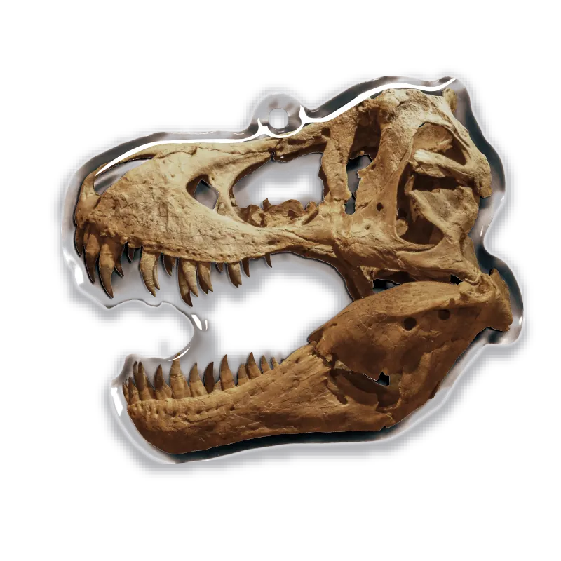 古生物 アクリルマスコット ラインナップ 2