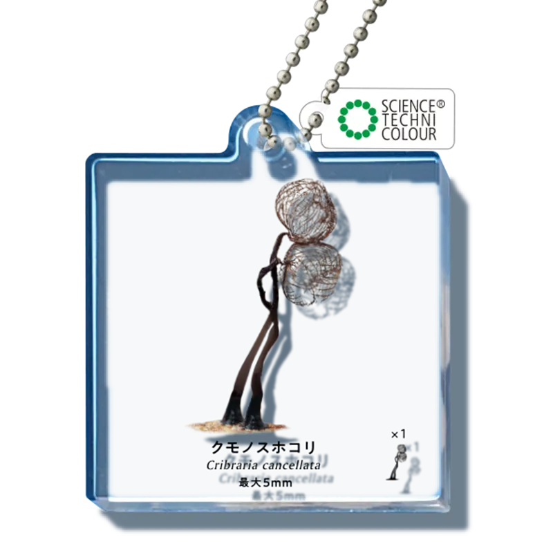 粘菌 アクリルマスコット ラインナップ 6