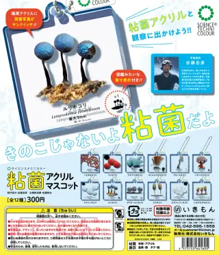 粘菌 アクリルマスコットの画像