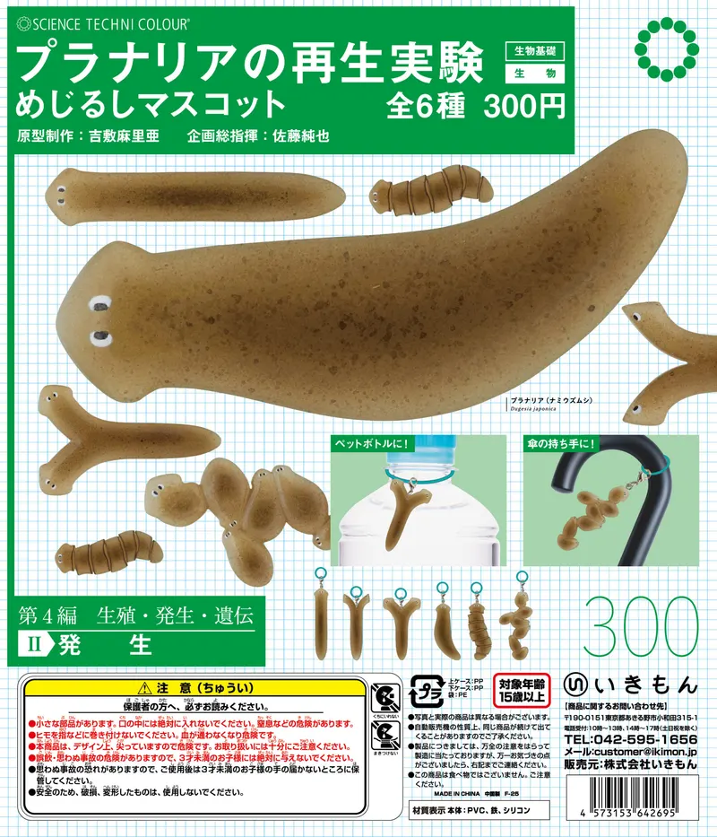 STC プラナリアの再生実験 めじるしマスコット(画像)