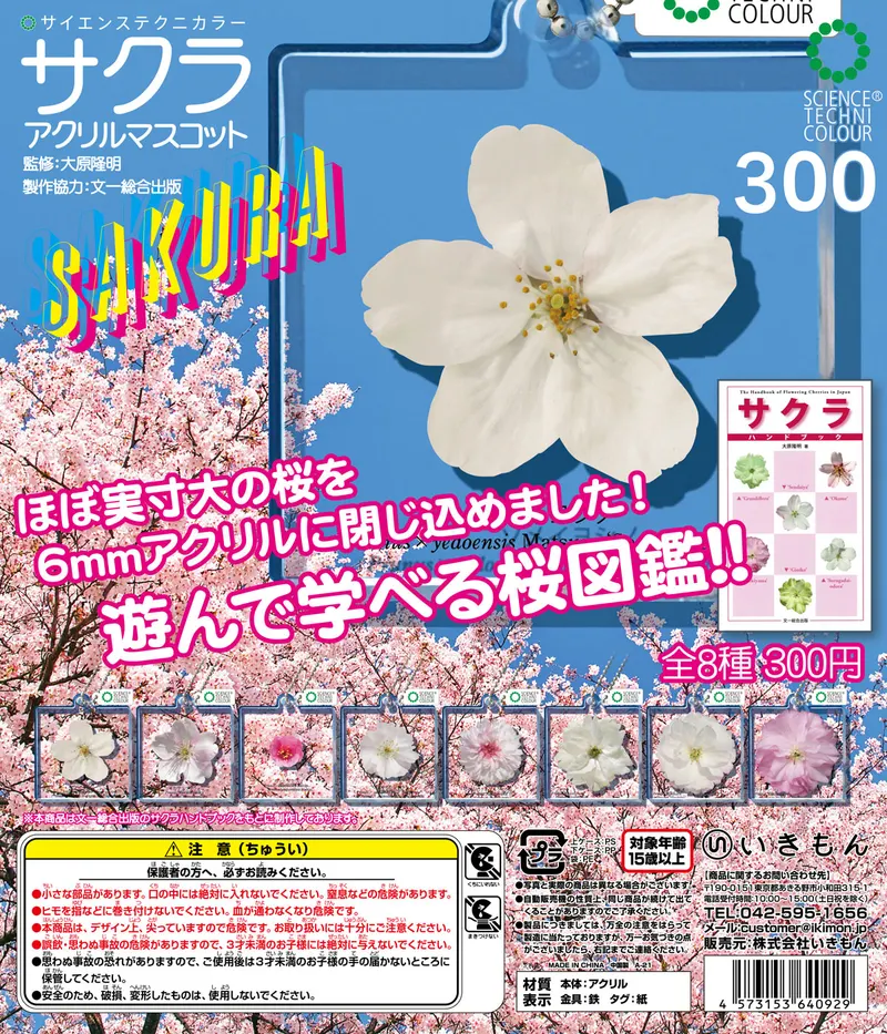 サクラアクリルマスコット(画像)