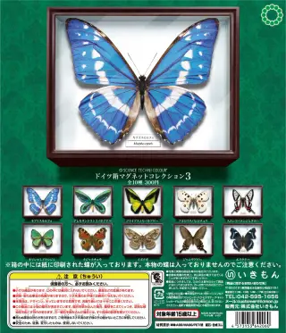 ドイツ箱マグネットコレクション３の画像