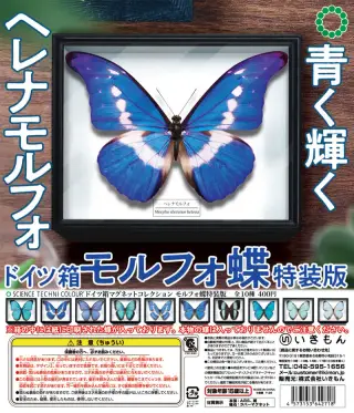 STC ドイツ箱マグネットコレクション モルフォ蝶特装版の画像